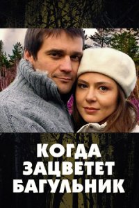 Обложка Когда Зацветёт Багульник сериалу