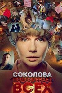 Обложка Соколова подозревает всех 5 сериалу